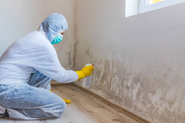 Commercial Mold Remediation assessment for commercial property in Fremont