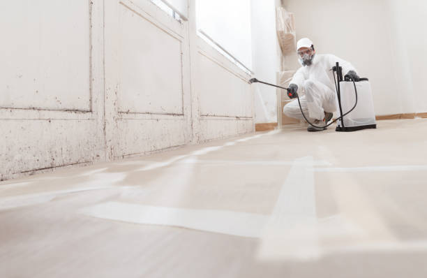 Black mold remediation team in Fremont